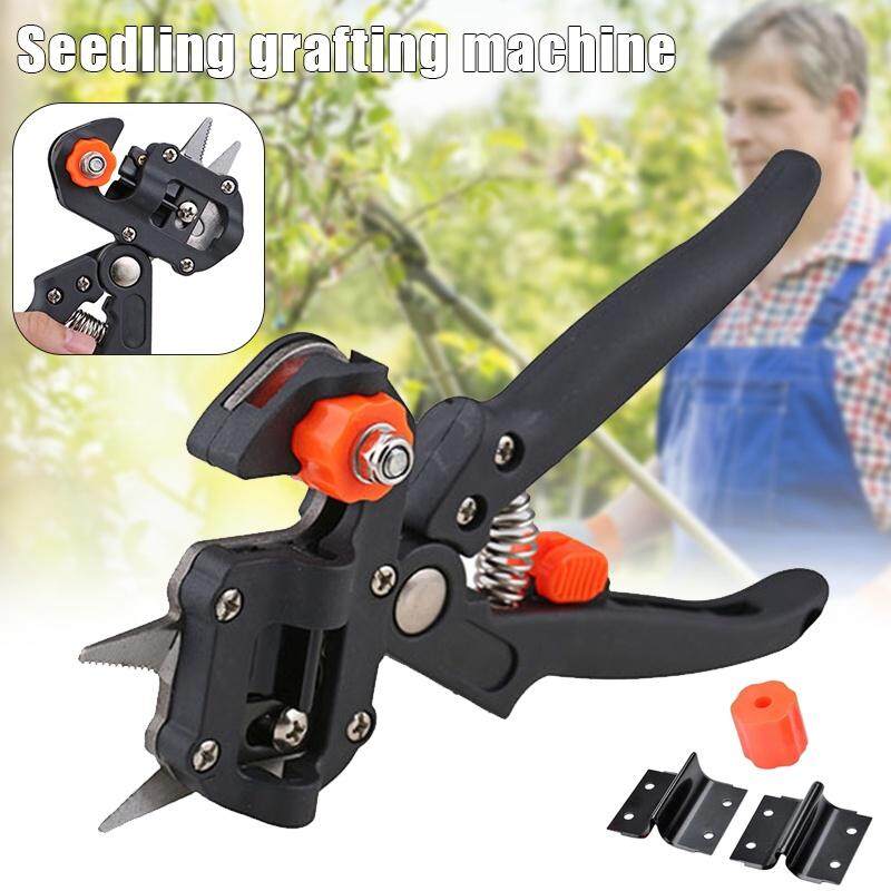 Set di strumenti per innesto da giardino