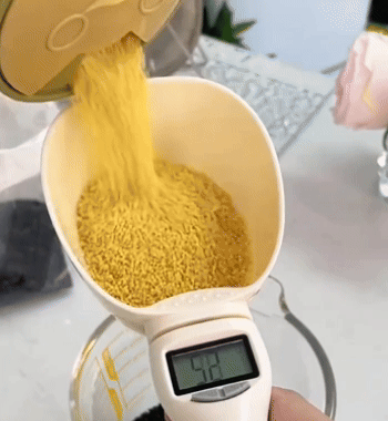 Bilancia Digitale a Cucchiaio