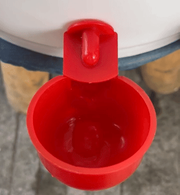 Bicchiere Automatico Per Acqua