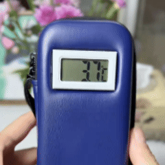 Custodia da Viaggio Porta Insulina con Display Temperatura e 2 Setti Ghiaccio