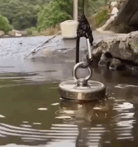 Magnete a forza magnetica super potente