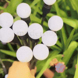 Luci Solari a Lucciole