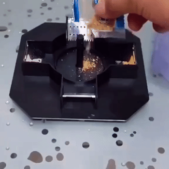 Scatola trappola per scarafaggi