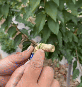 Ugello Atomizzatore da Giardino Regolabile