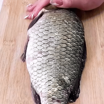 Strumento per la rimozione delle squame dei pesci