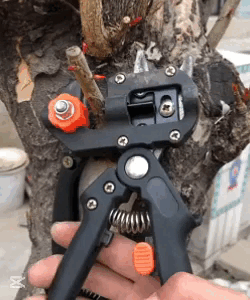 Set di strumenti per innesto da giardino