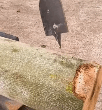 Punta piatta per legno