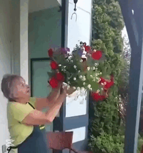 Paranco per piante retrattile