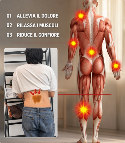 ⏳Offerta limitata⏰ Cerotti allo zenzero antidolorifici: terapia del calore naturale contro dolori e rigidità | Applicali dove fa male!