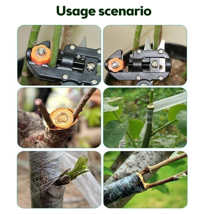 Set di strumenti per innesto da giardino