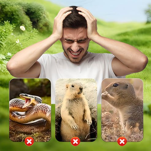 🔥Dispositivo Repellente Per Talpe Da Esterno