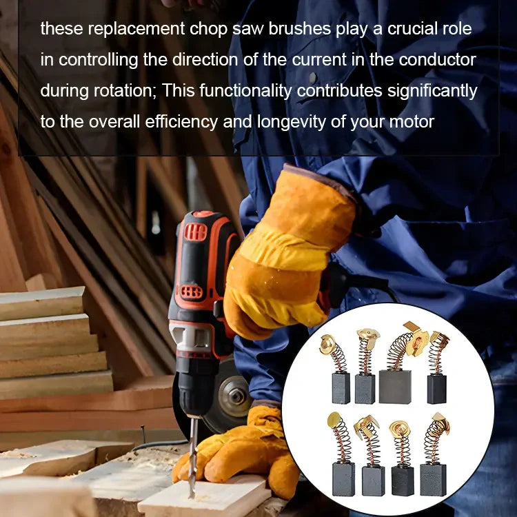 Set di Spazzole in Carbone per Utensili Elettrici